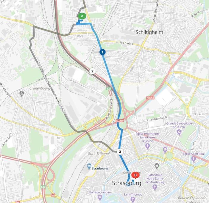 Appartement Cosy Strasbourg Schiltigheim Eksteriør billede