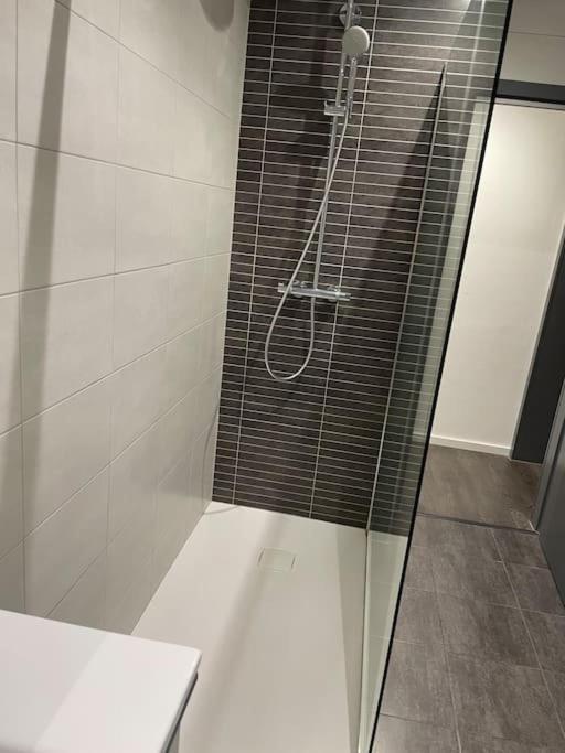 Appartement Cosy Strasbourg Schiltigheim Eksteriør billede